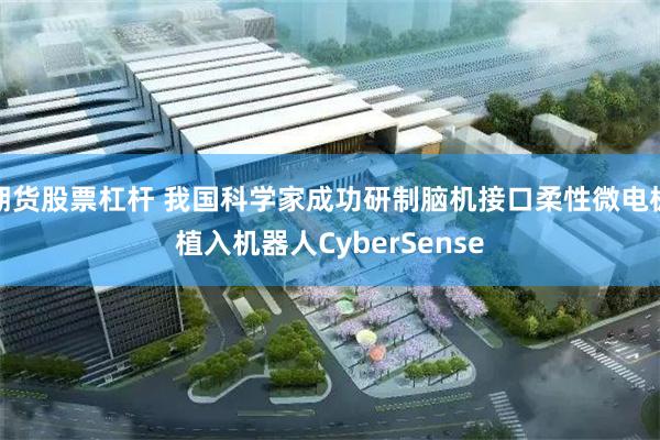 期货股票杠杆 我国科学家成功研制脑机接口柔性微电极植入机器人CyberSense