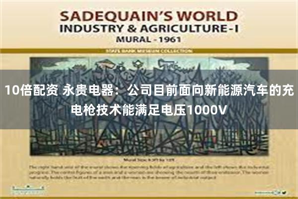 10倍配资 永贵电器：公司目前面向新能源汽车的充电枪技术能满足电压1000V