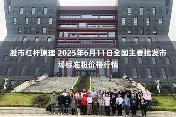 股市杠杆原理 2025年6月11日全国主要批发市场标准粉价格行情