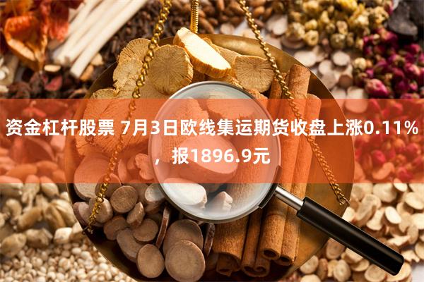 资金杠杆股票 7月3日欧线集运期货收盘上涨0.11%，报1896.9元
