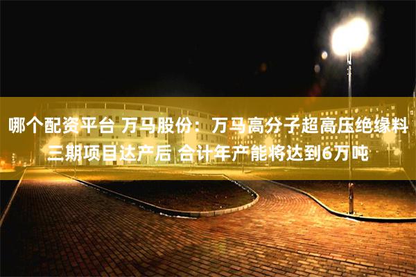 哪个配资平台 万马股份：万马高分子超高压绝缘料三期项目达产后 合计年产能将达到6万吨