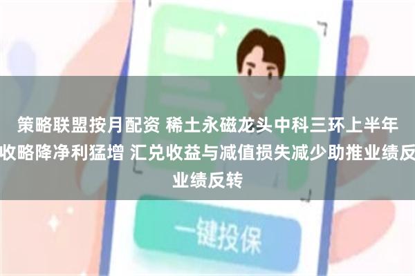 策略联盟按月配资 稀土永磁龙头中科三环上半年营收略降净利猛增 汇兑收益与减值损失减少助推业绩反转