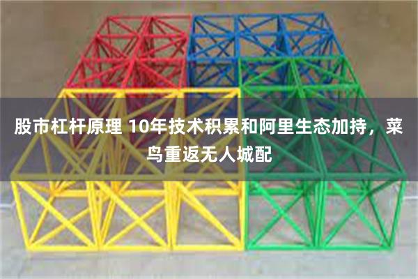 股市杠杆原理 10年技术积累和阿里生态加持，菜鸟重返无人城配