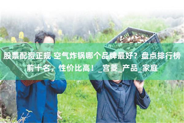 股票配资正规 空气炸锅哪个品牌最好？盘点排行榜前十名，性价比高！_宫菱_产品_家庭