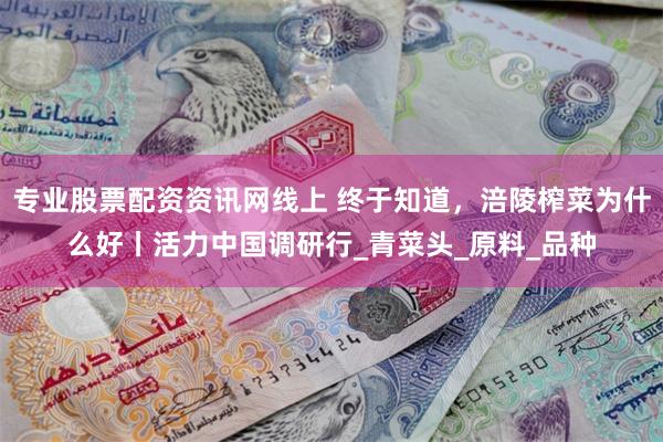 专业股票配资资讯网线上 终于知道，涪陵榨菜为什么好丨活力中国调研行_青菜头_原料_品种