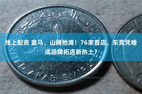 线上配资 盒马、山姆抢滩！76家首店，东莞凭啥成品牌拓店新热土？