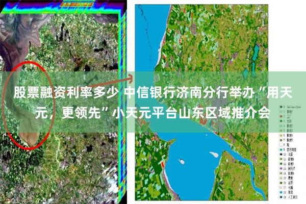 股票融资利率多少 中信银行济南分行举办“用天元，更领先”小天元平台山东区域推介会