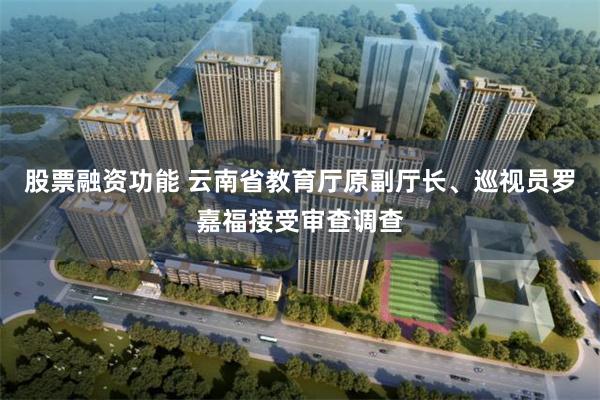 股票融资功能 云南省教育厅原副厅长、巡视员罗嘉福接受审查调查