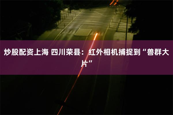 炒股配资上海 四川荣县：红外相机捕捉到“兽群大片”